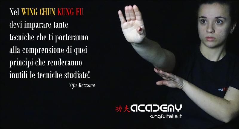 Kung Fu Academy Caserta di Sifu Salvatore Mezzone Accademia di Wing Chun e Tai Chi Quan (1)